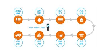 構(gòu)建智慧防線 水產(chǎn)品質(zhì)量追溯系統(tǒng)與信息安全軟件開(kāi)發(fā)雙管齊下，保障您的食用安全